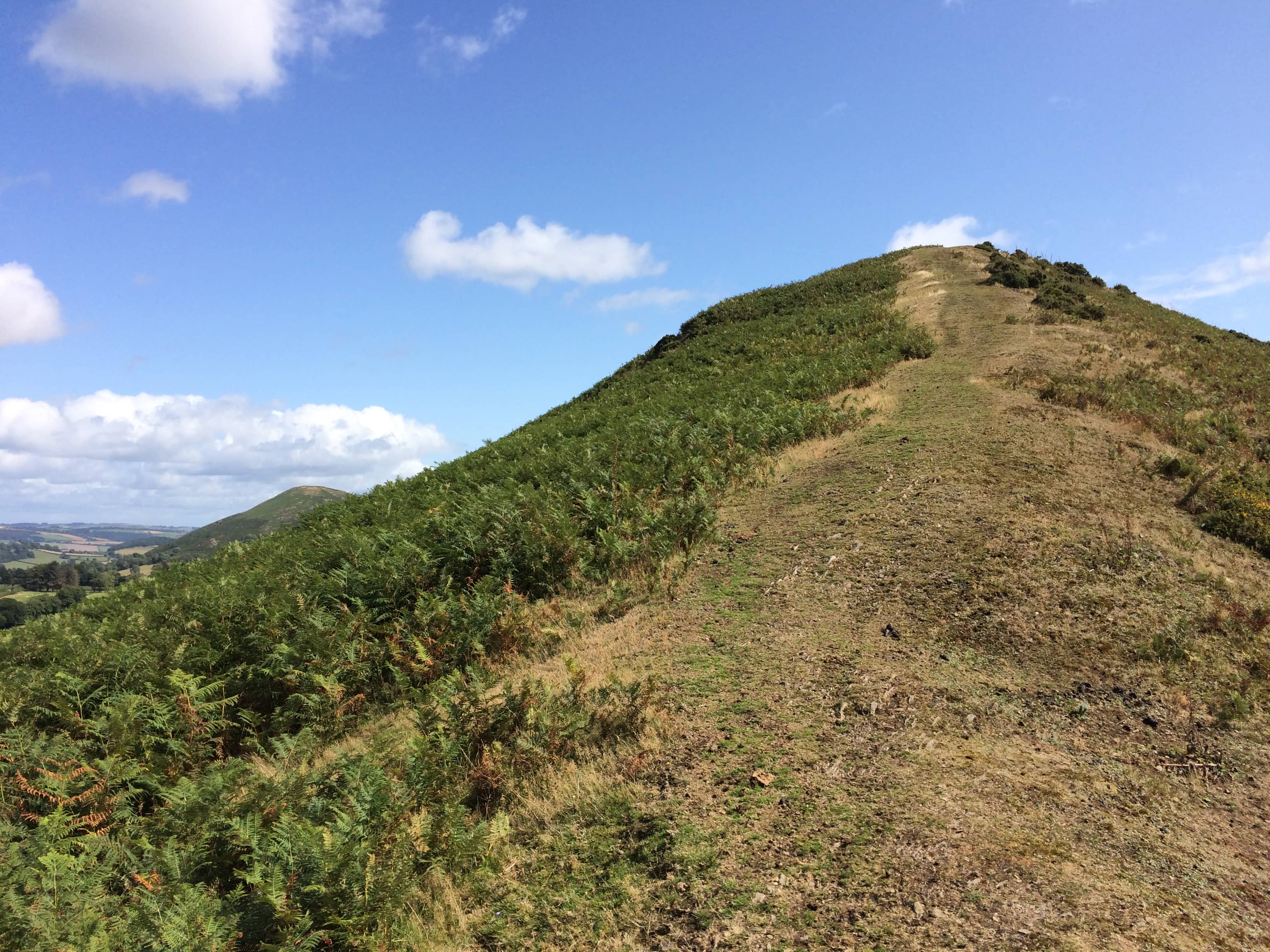 Yew Tree Bank