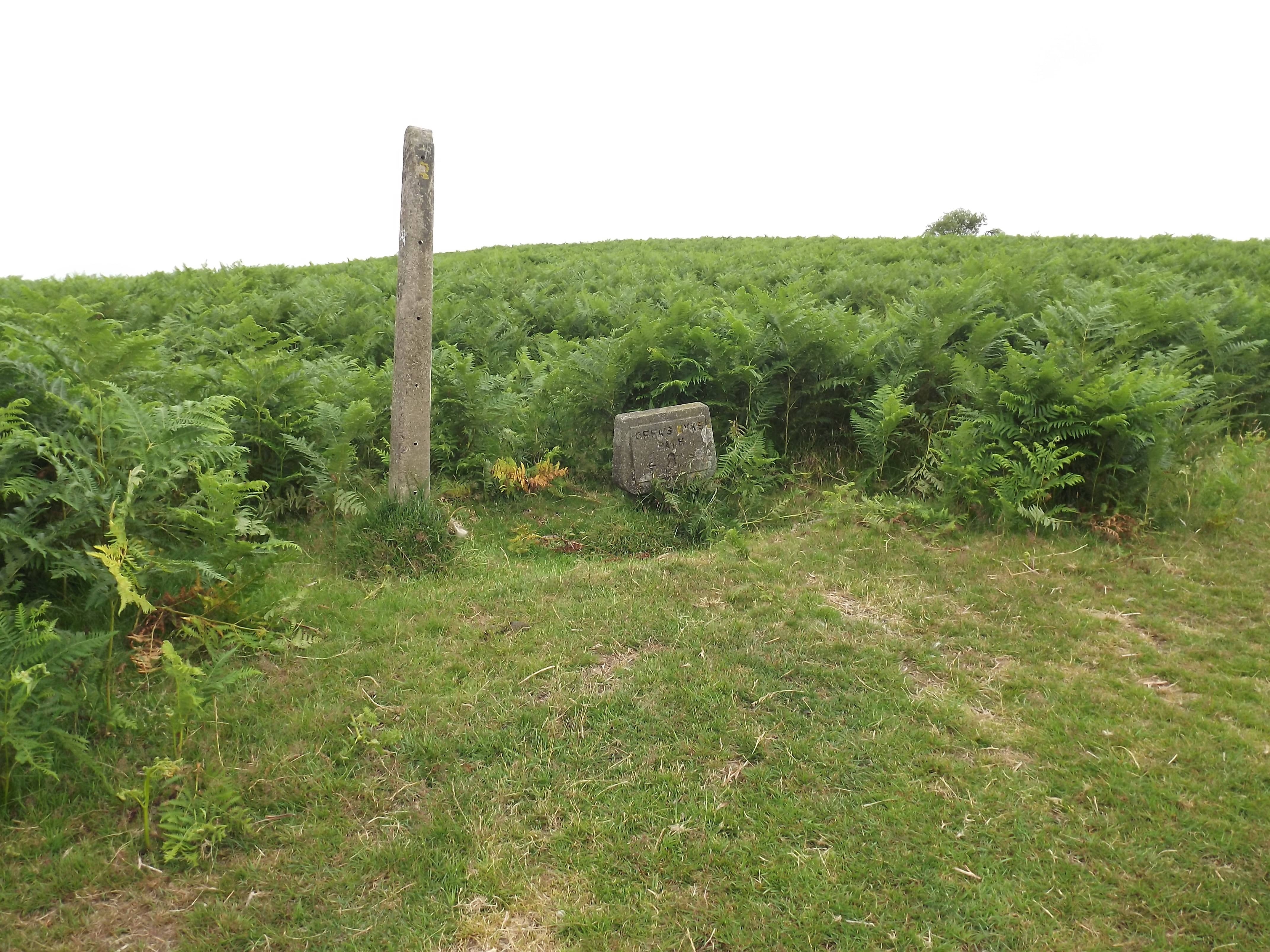 Hergest Ridge